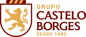 Grupo Castelo Borges