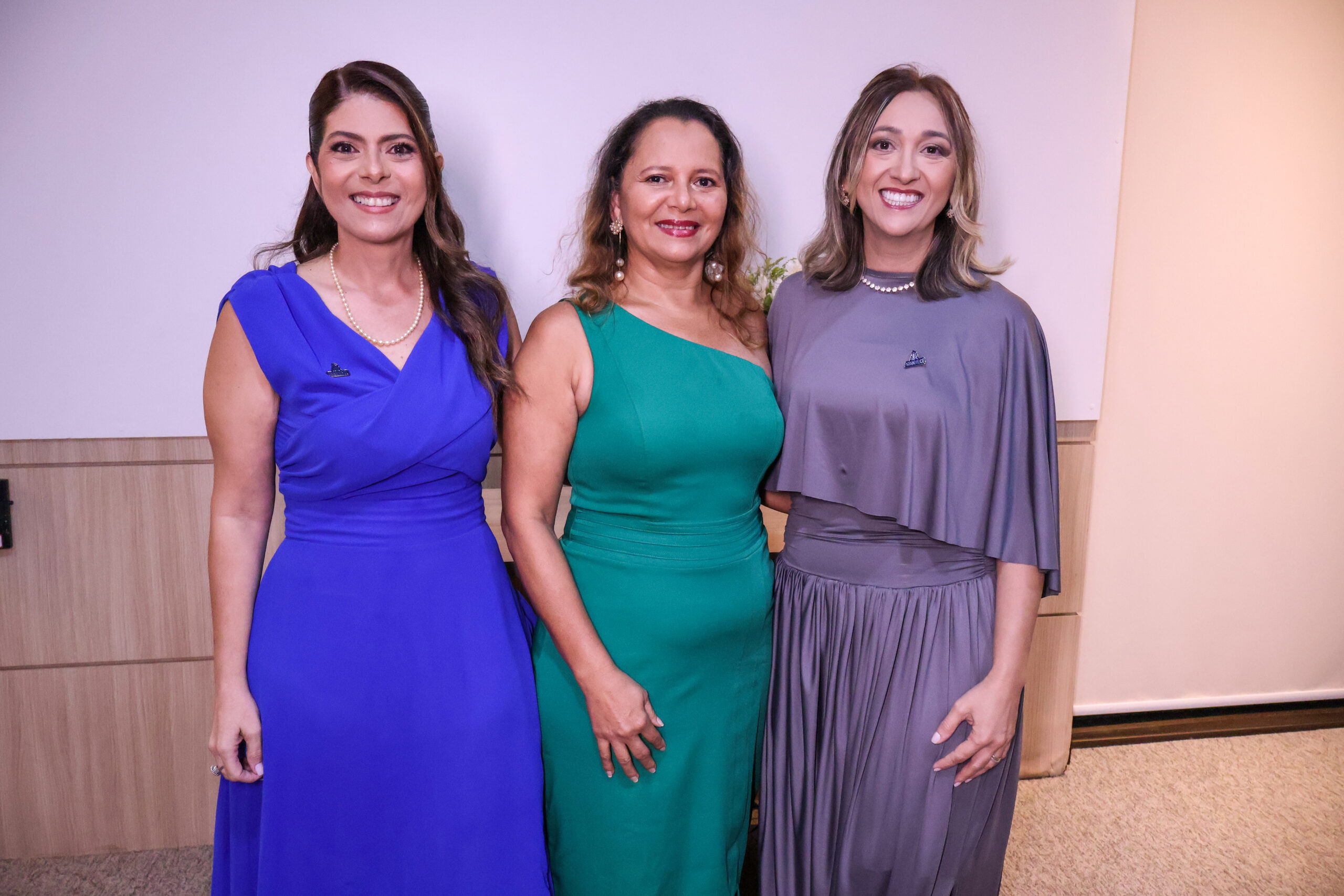 Posse Nova Diretoria Assosindicos137