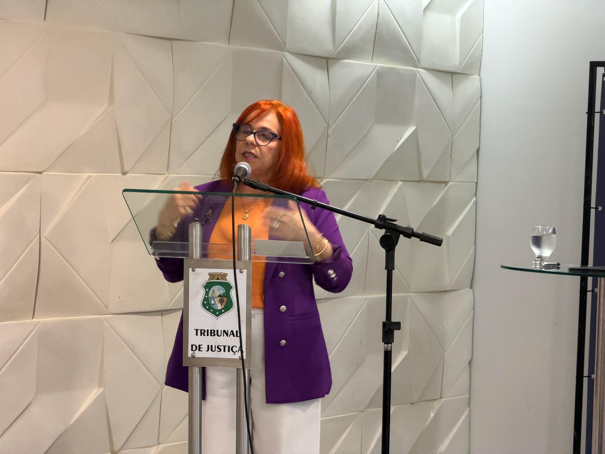Agosto Lilás TJCE-00055