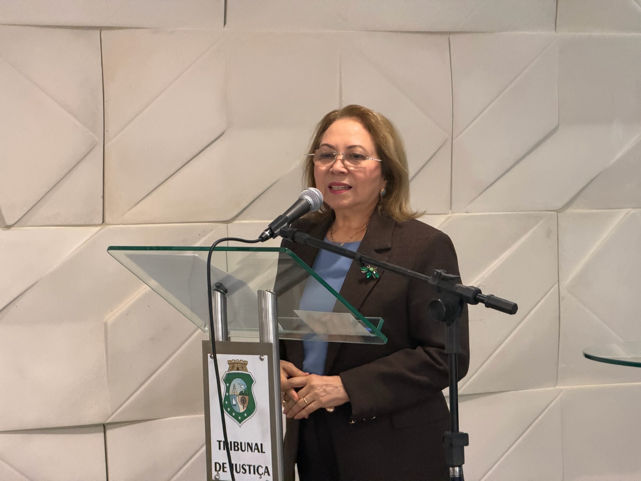 Agosto Lilás TJCE-00074
